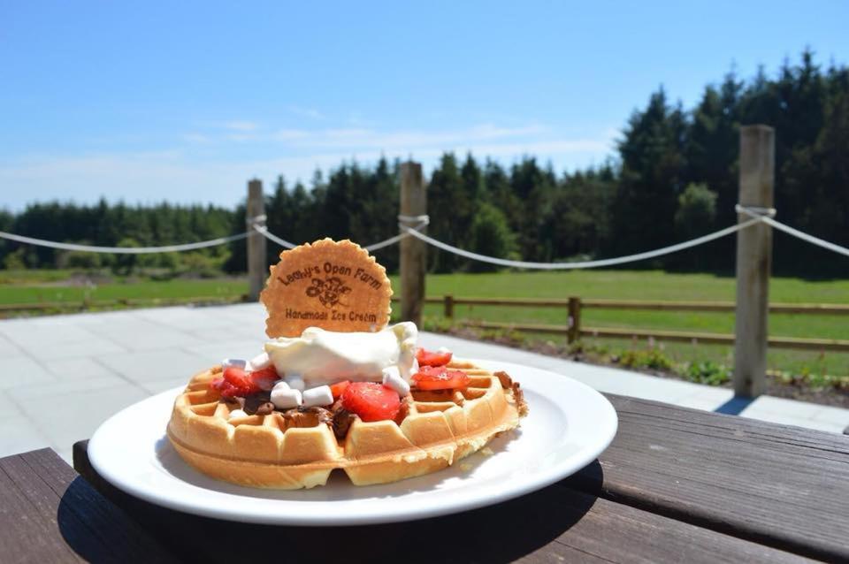 Leahys Pod Park Hotell Cork Eksteriør bilde